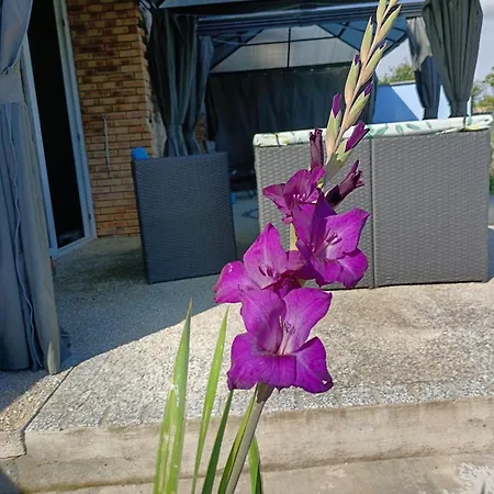 D'hotes Piscine Couverte & Chauffee * Bouquemont